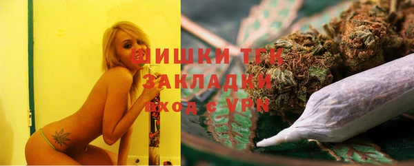 дурь Бородино