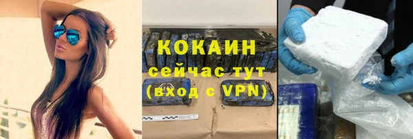 дурь Бородино