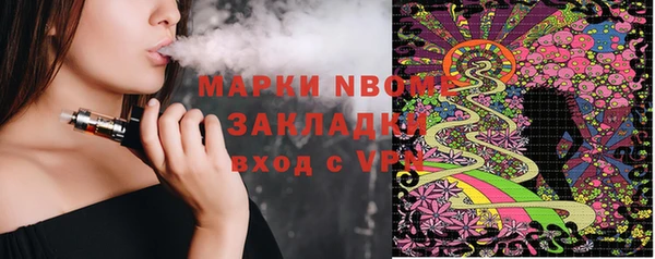 дурь Бородино
